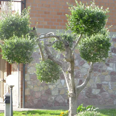 Apartment Olivia's House Saline di Volterra